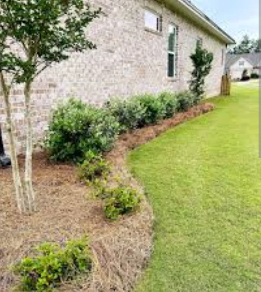 Local lawn care service near you across Kingwood, TX - KP Landscaping