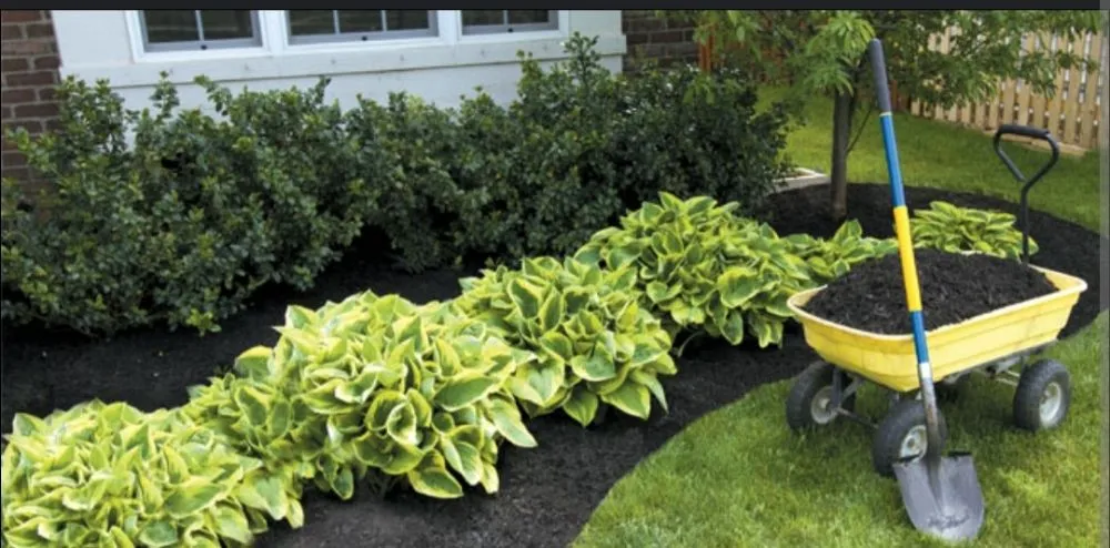 Reliable yard cleanup service in Kingwood, TX - KP Landscaping