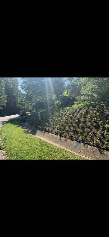 Affordable garden landscaping in Williamsburg, VA by KP Landscaping