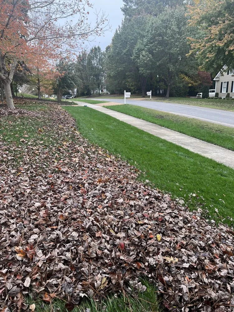 Top-rated lawn care service for beautiful yards across Williamsburg, VA - KP Landscaping