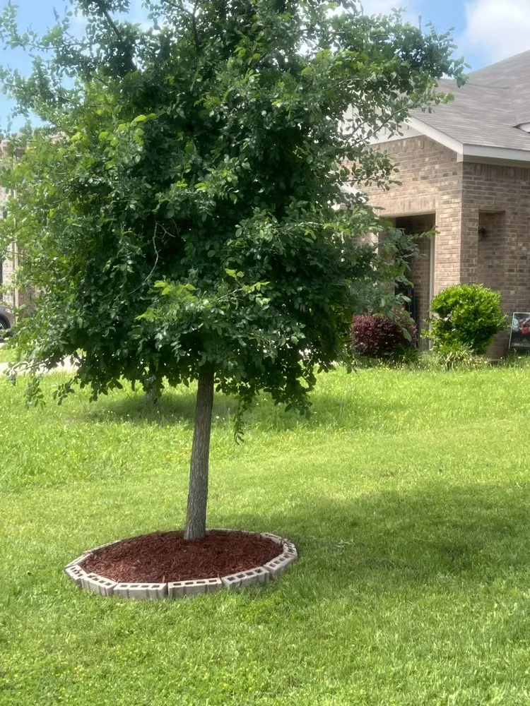 Professional outdoor landscaping for outdoor upgrades in Heartland, TX by K&P Lawn Care