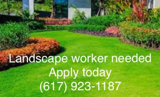 Expert lawn care service for outdoor upgrades across Watertown, MA - KP McDade Landscaping