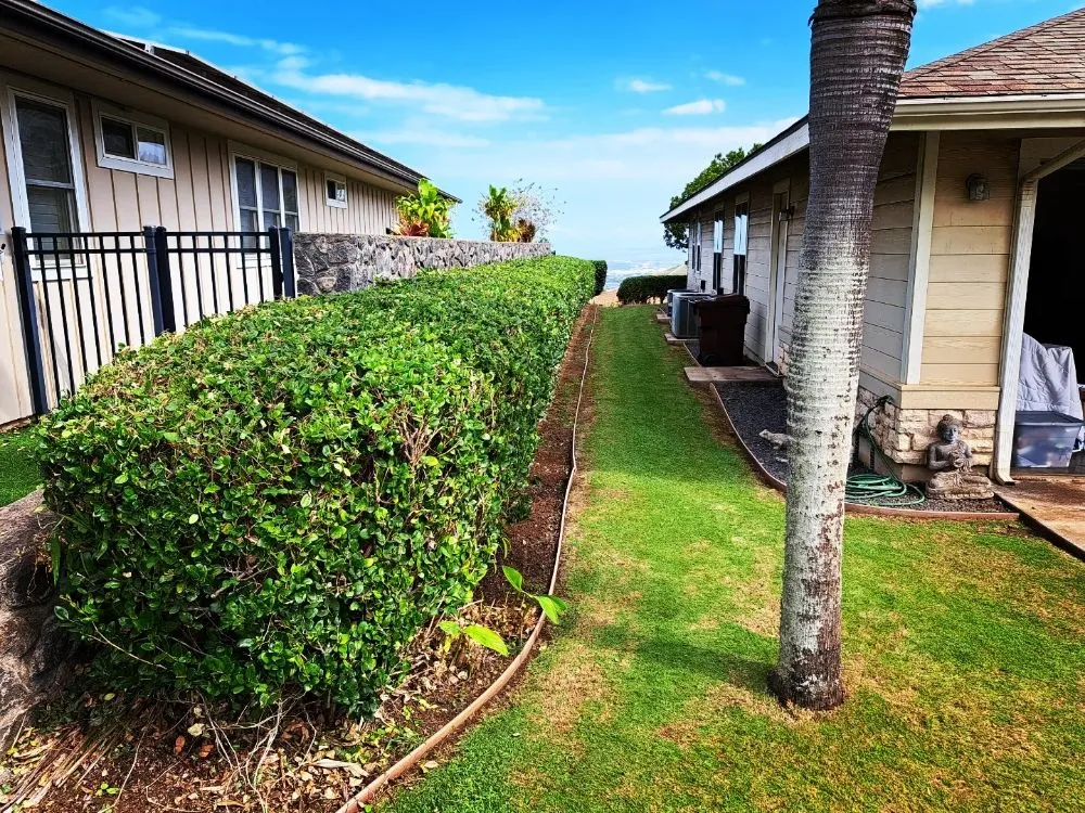 Professional yard maintenance for outdoor upgrades across Maui, HI - Kūpa'a Lawn Care & Maintenance