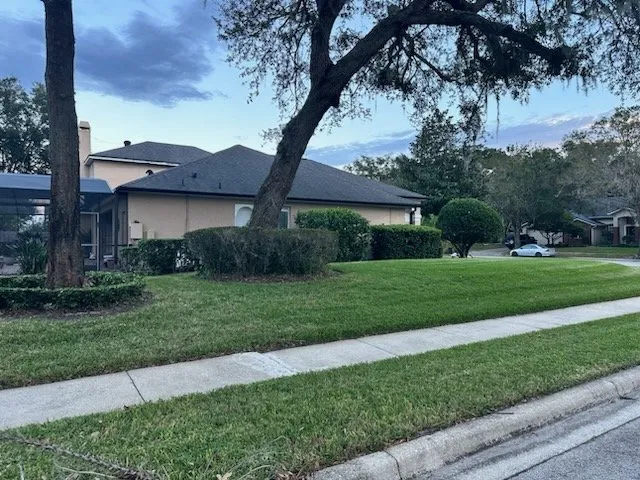 Affordable yard cleanup service experts serving Kissimmee, FL - KPM Landscaping