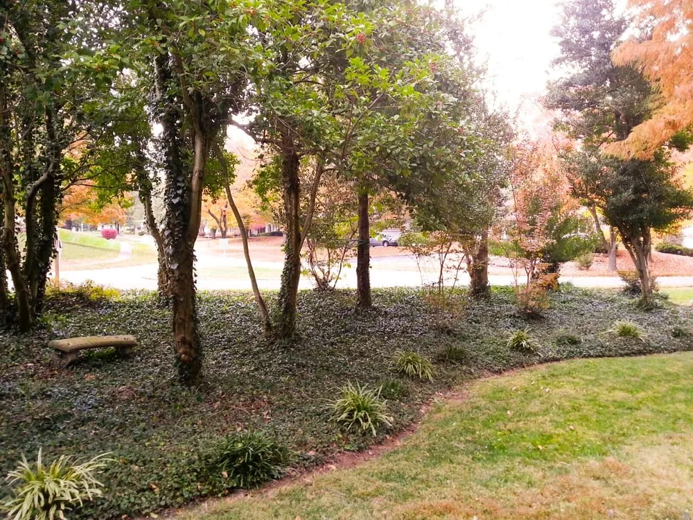 Professional lawn mowing service near you across Saint Louis, MO - KPN Lawn Care and Landscaping