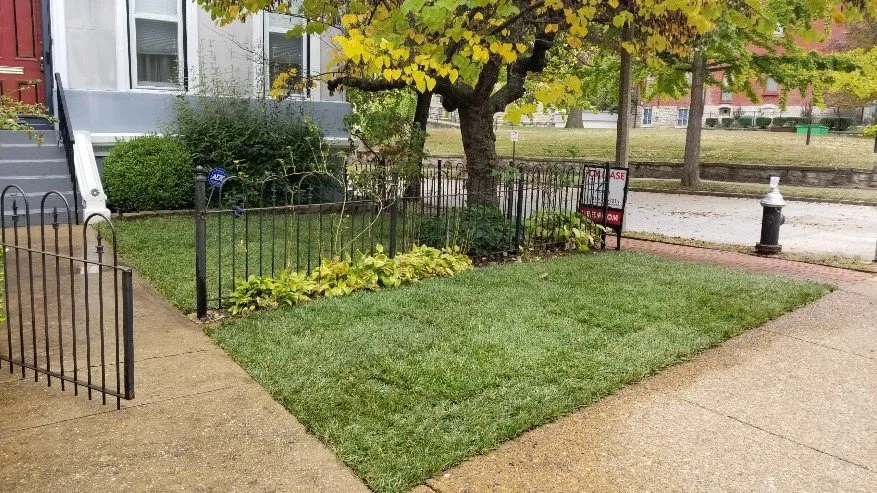 Affordable landscape design experts serving Saint Louis, MO - KPN Lawn Care and Landscaping