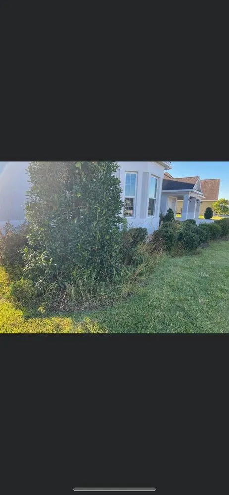 Top-rated garden landscaping experts serving Newark, OH - KPS Fencing & Landscape