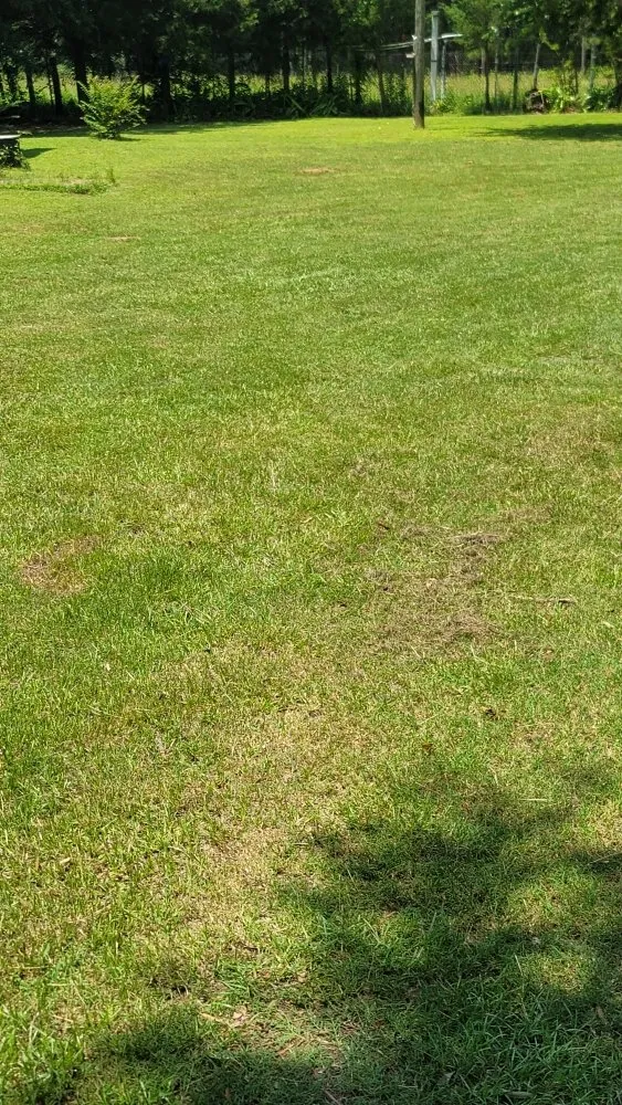 Expert yard maintenance in Overton, TX - KP’s Grass & Weedeating