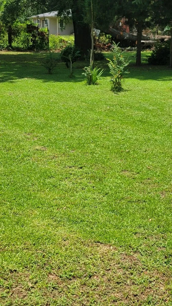 Top-rated lawn mowing service for outdoor upgrades in Overton, TX by KP’s Grass & Weedeating