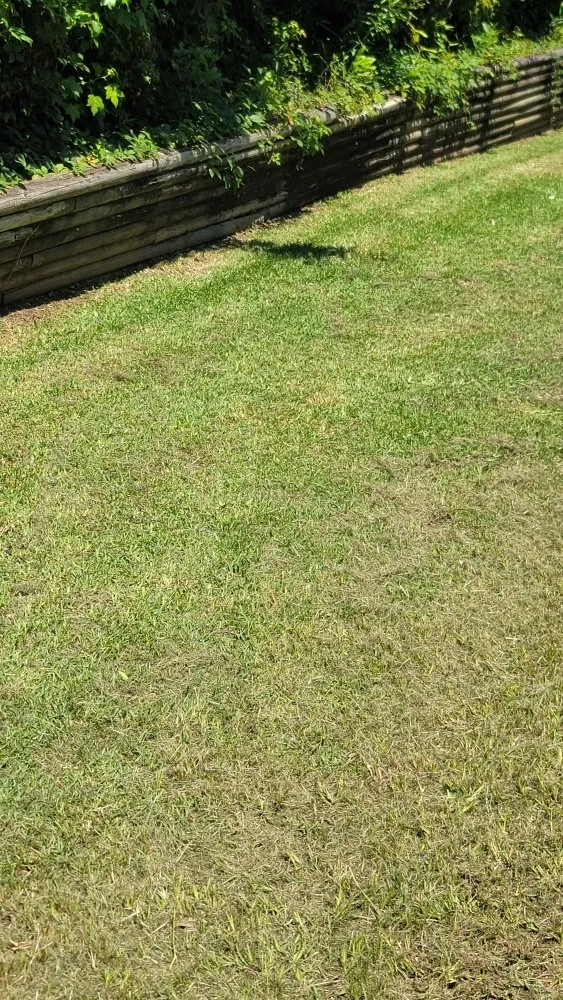 Trusted yard cleanup service experts serving Overton, TX - KP’s Grass & Weedeating