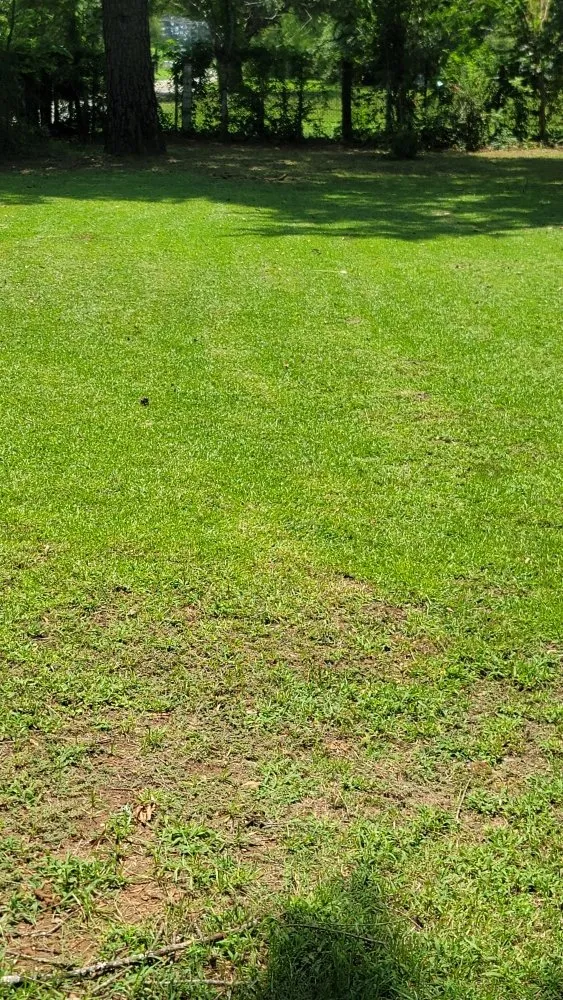 Custom landscape design for residential properties across Overton, TX - KP’s Grass & Weedeating