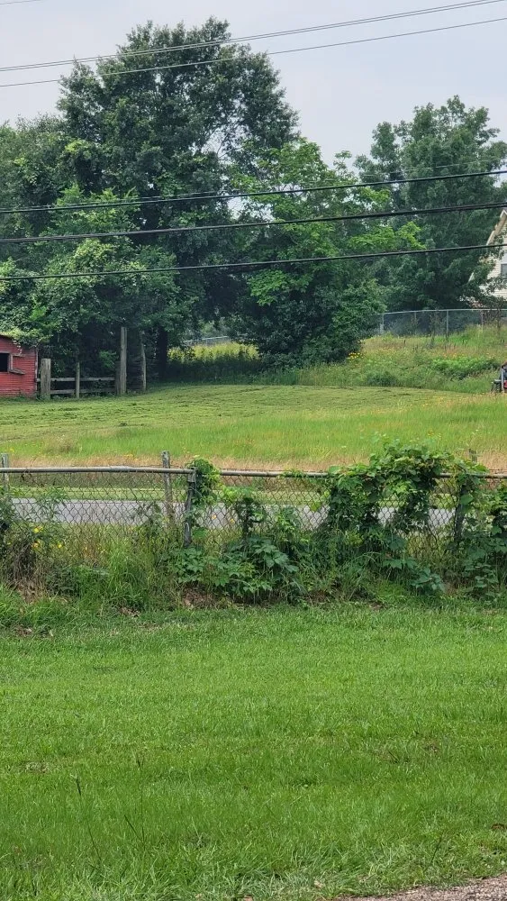 Reliable yard maintenance for beautiful yards across Overton, TX - KP’s Grass & Weedeating