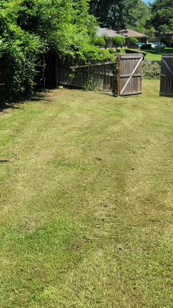 Affordable yard cleanup service in Overton, TX by KP’s Grass & Weedeating