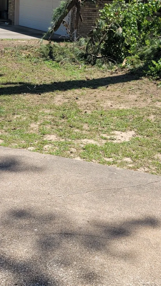 Top-rated lawn care service near you across Overton, TX - KP’s Grass & Weedeating