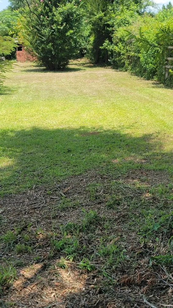 Professional yard maintenance experts serving Overton, TX - KP’s Grass & Weedeating