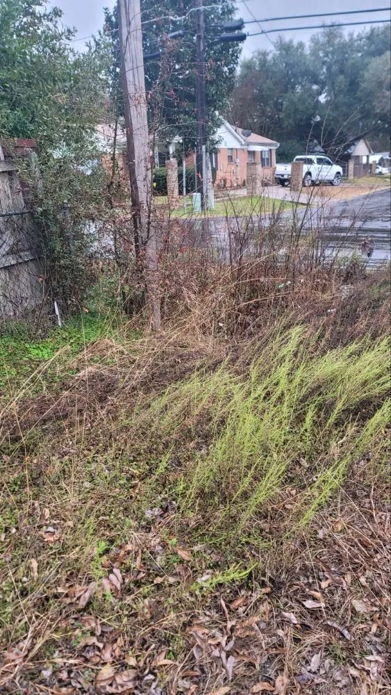 Trusted garden landscaping for outdoor upgrades in Overton, TX by KP’s Grass & Weedeating