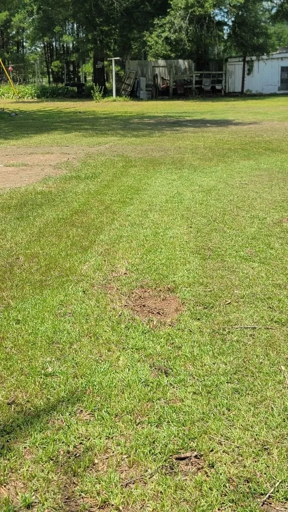 Professional lawn care service experts serving Overton, TX - KP’s Grass & Weedeating