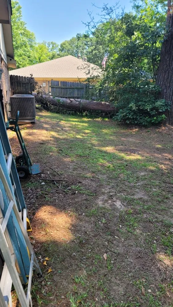 Expert lawn care service in Overton, TX - KP’s Grass & Weedeating