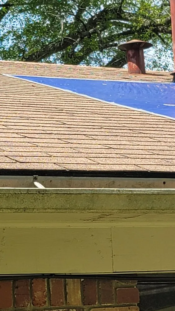 Top-rated yard maintenance in Overton, TX - KP’s Grass & Weedeating