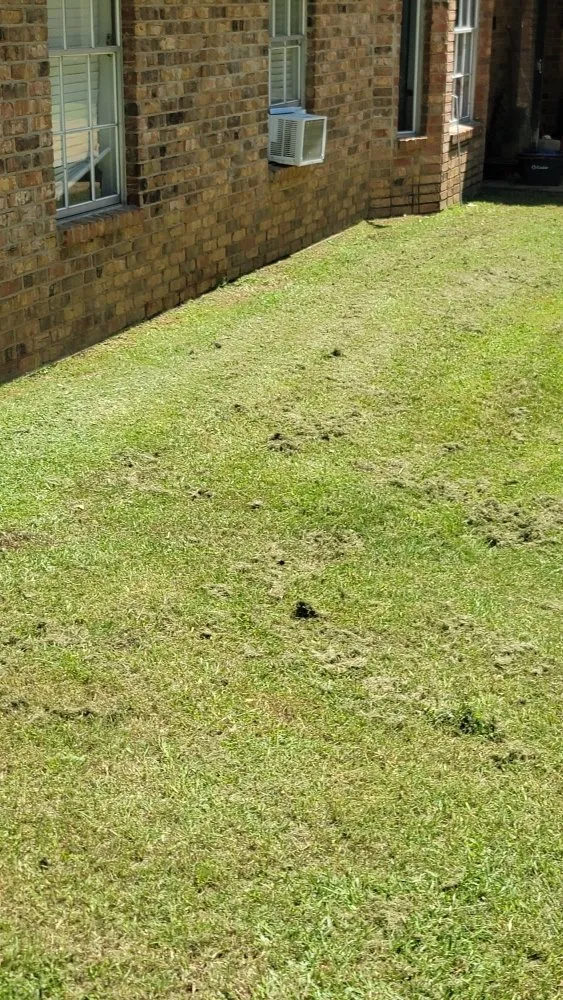 Affordable lawn care service in Overton, TX by KP’s Grass & Weedeating