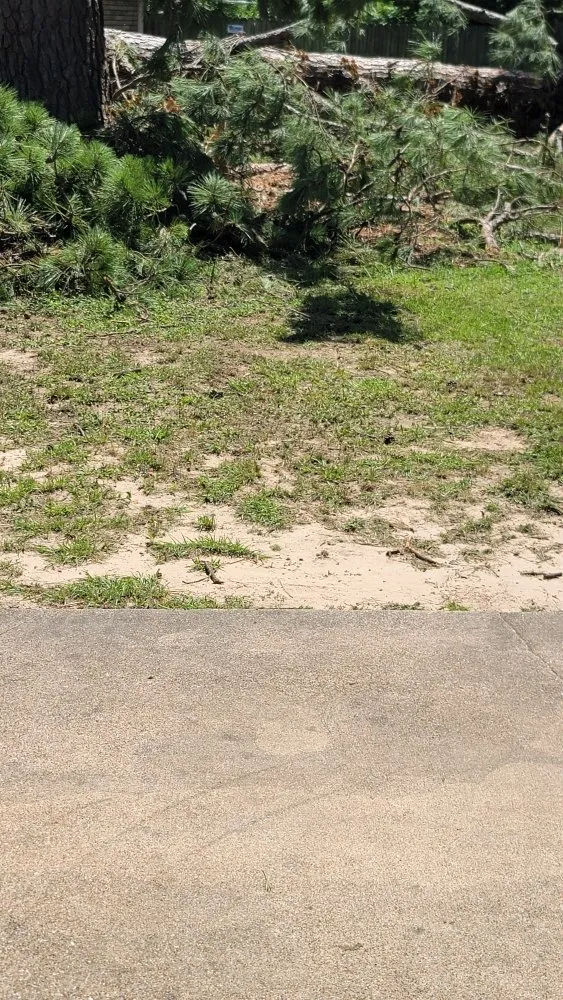 Reliable yard maintenance in Overton, TX by KP’s Grass & Weedeating