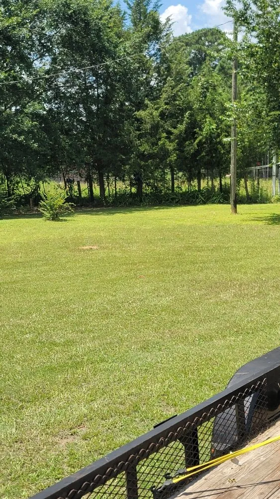 Affordable lawn mowing service in Overton, TX by KP’s Grass & Weedeating