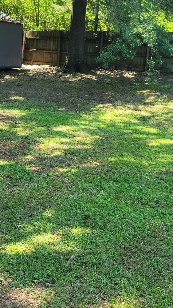 Professional residential landscaping in Overton, TX by KP’s Grass & Weedeating