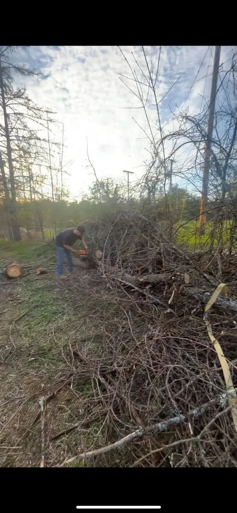 Local landscaping services in Sprakers, NY - K.p’s Property Clean Up and Management