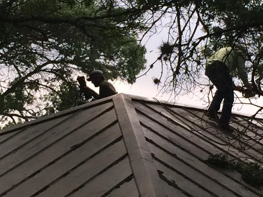 Top-rated yard cleanup service with custom design in Selma, TX by KPS Services