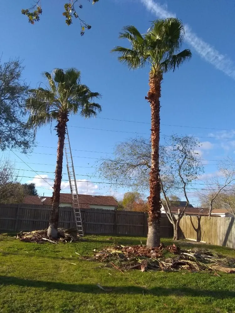 Professional lawn care service experts serving Corpus Christi, TX - K&R Contracting