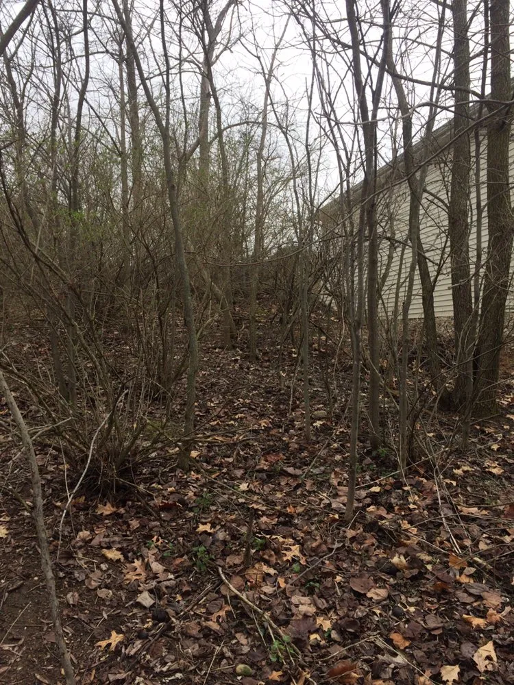 Local lawn care service in Madisonville, TN - K&R Home Services