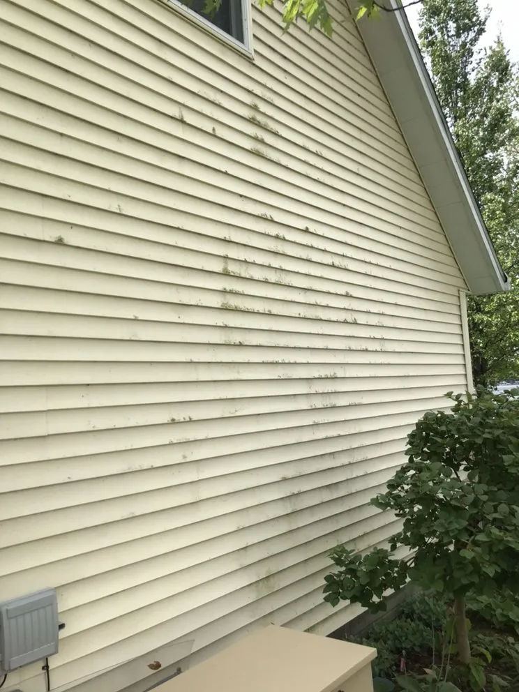 Affordable lawn care service experts serving Madisonville, TN - K&R Home Services