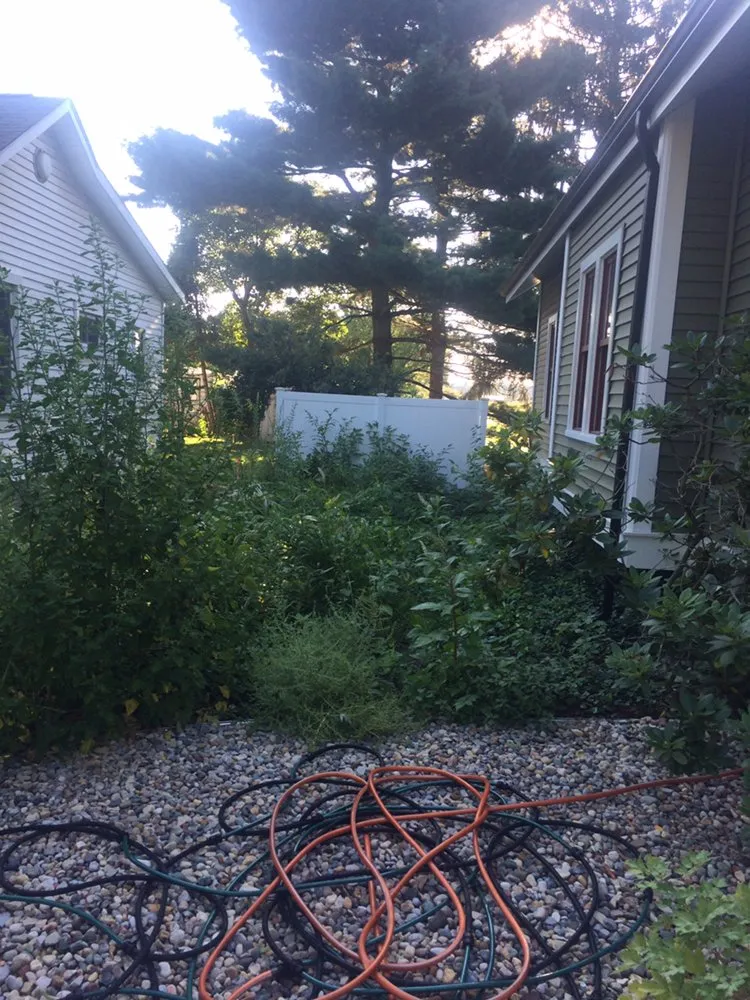 Expert yard cleanup service for homes across Madisonville, TN - K&R Home Services