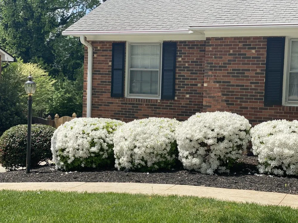 Trusted landscaping services with custom design in Winston-Salem, NC by K&R Landscape