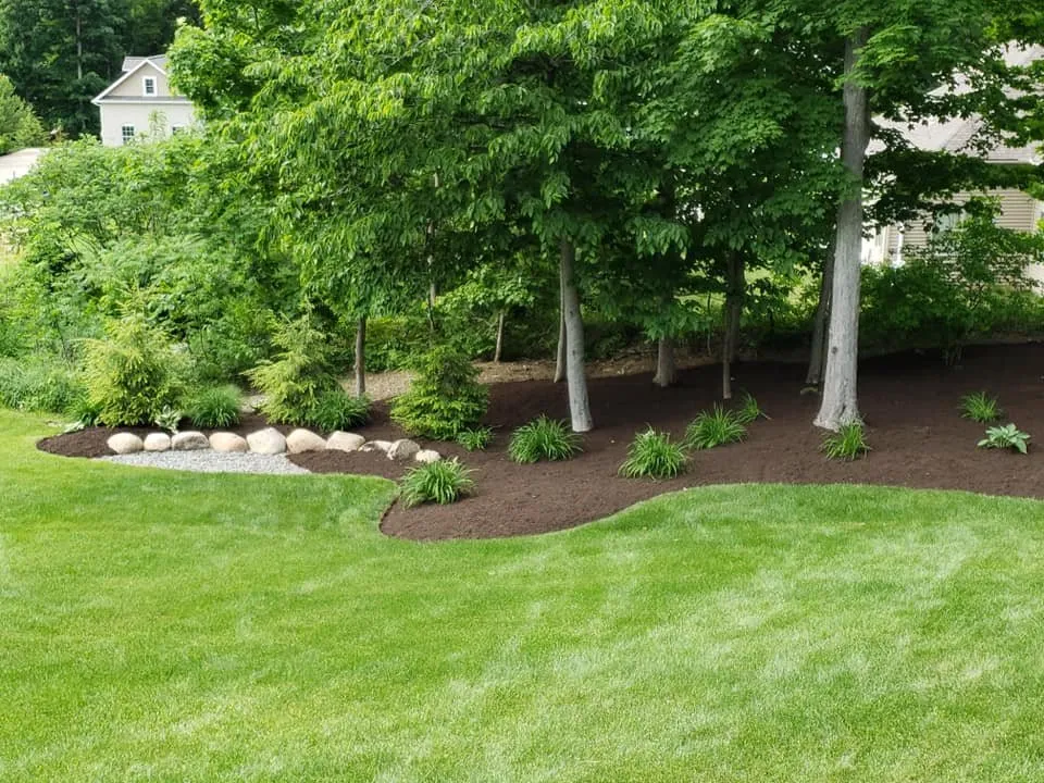 Affordable lawn care service in Winston-Salem, NC by K&R Landscape