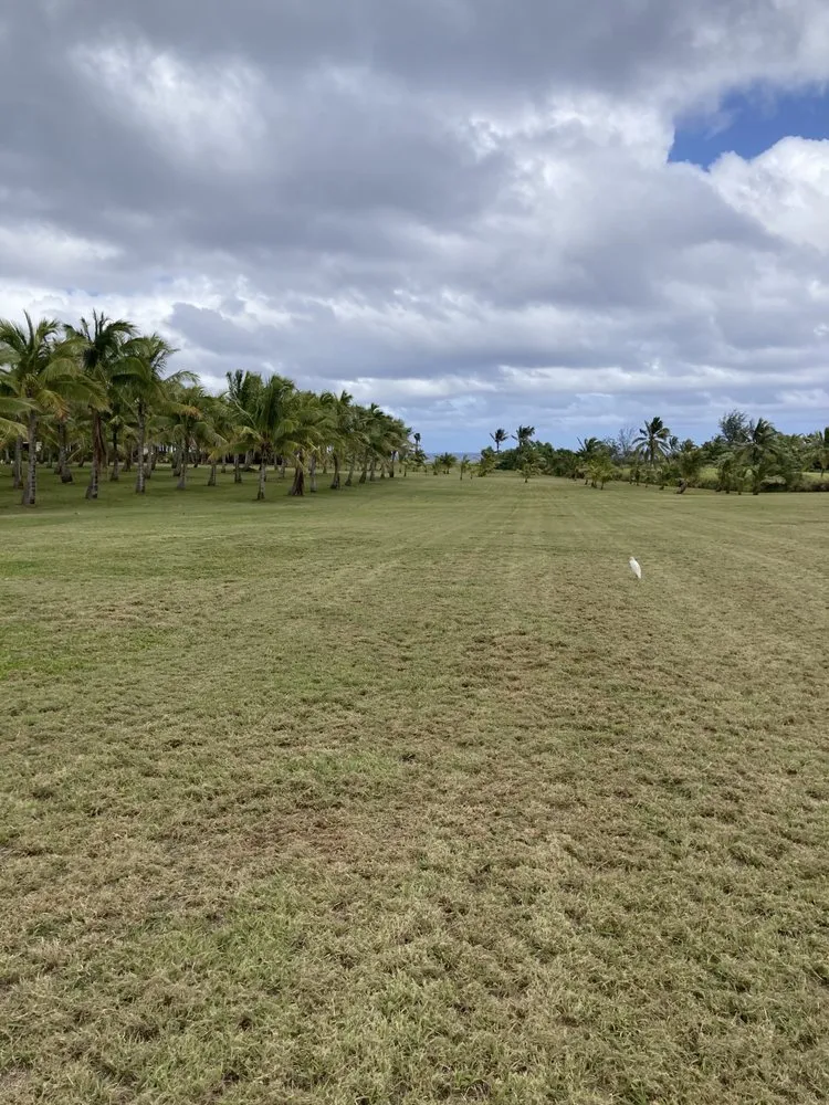 Local yard cleanup service with custom design across Kapaʻa, HI - KR Landscaping