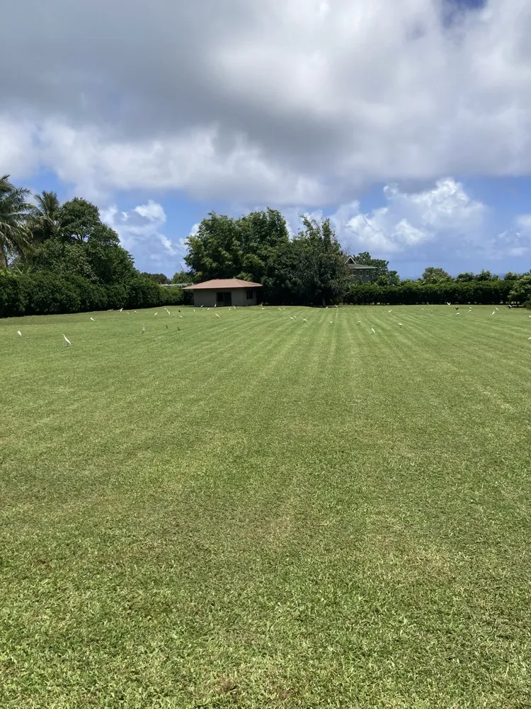 Professional lawn mowing service in Kapaʻa, HI by KR Landscaping