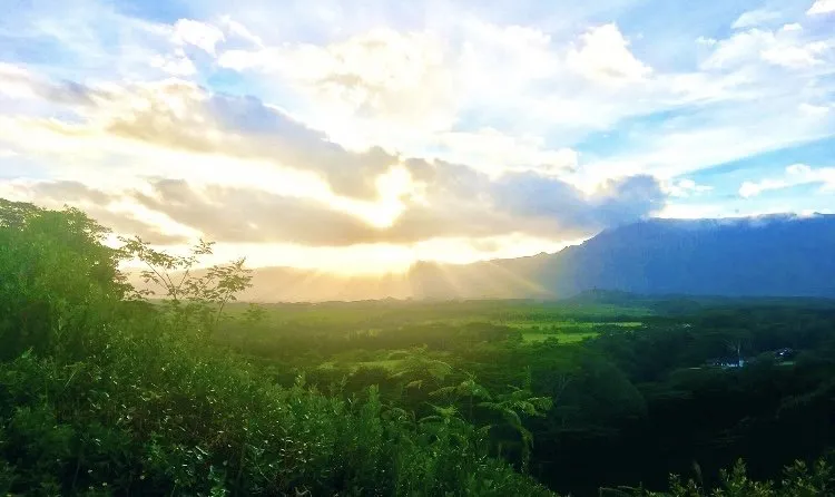 Professional residential landscaping experts serving Kapaʻa, HI - KR Landscaping