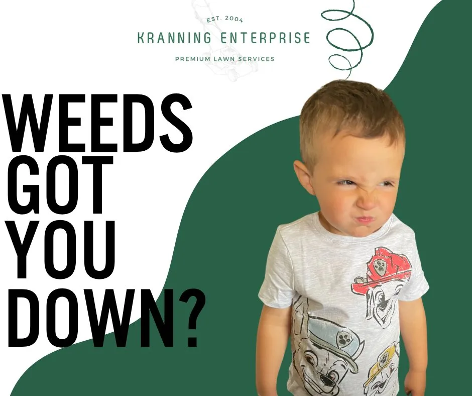 Affordable residential landscaping for residential properties across Knollwood, TX - Kranning Enterprise