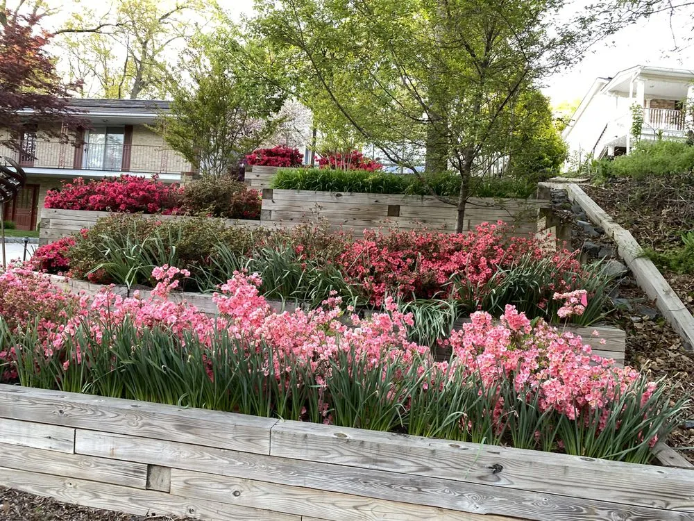Professional outdoor landscaping for year-round maintenance in Alexandria, VA by Krause & Sons