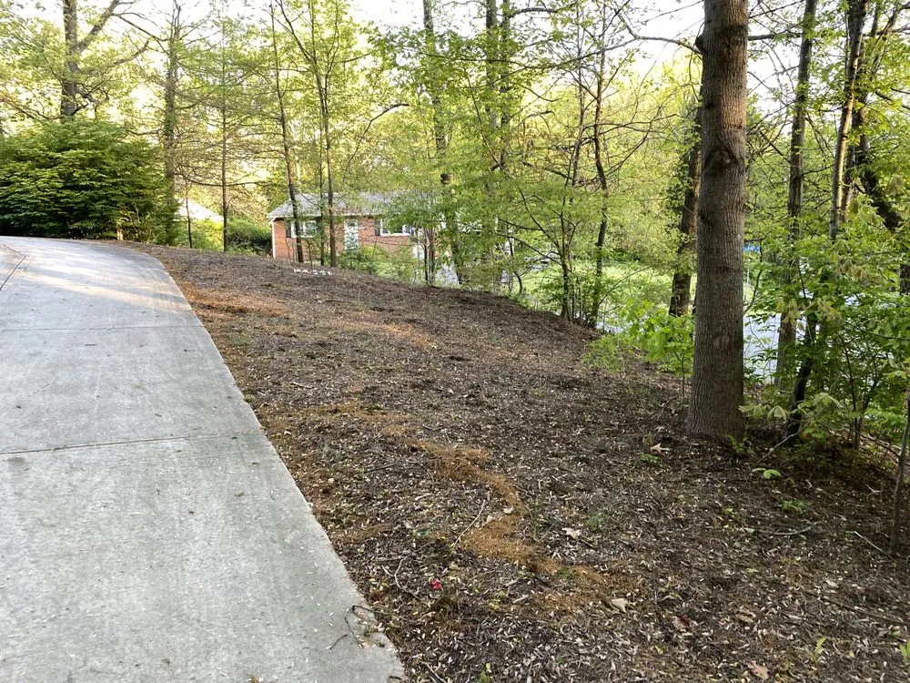 Custom yard cleanup service for beautiful yards in Alexandria, VA by Krause & Sons