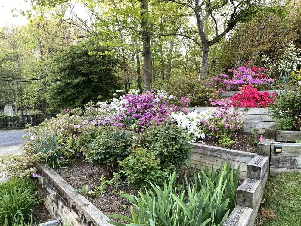 Reliable landscape design for year-round maintenance in Alexandria, VA by Krause & Sons