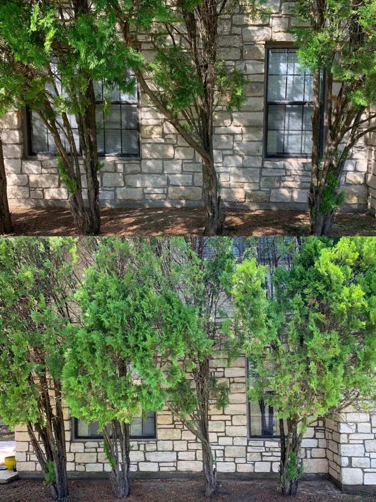 Affordable residential landscaping for residential properties across Buda, TX - Krause Exterior Services