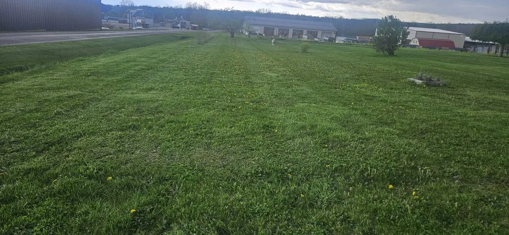 Trusted yard cleanup service in Dundee, NY - Krause Lawn Care