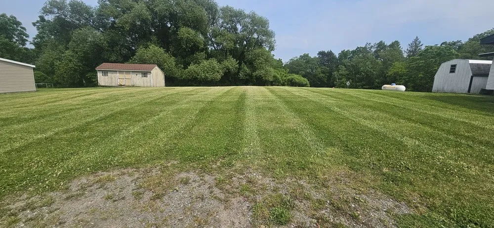 Custom lawn care service experts serving Dundee, NY - Krause Lawn Care