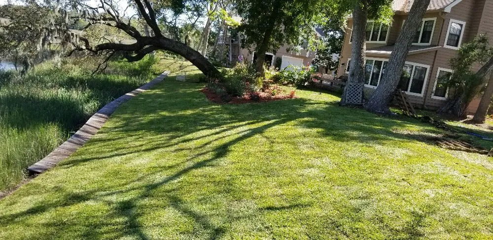 Local yard cleanup service in Fernandina Beach, FL by KraussCare Landscaping