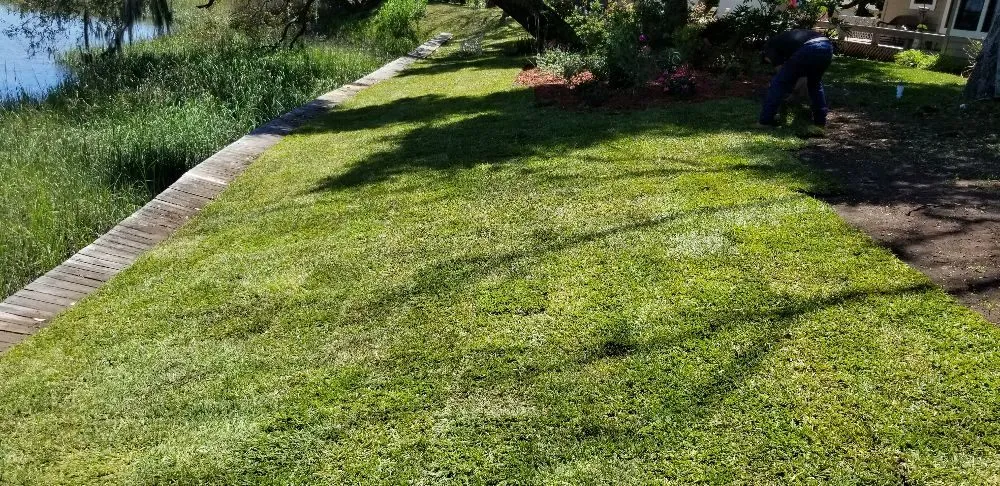 Local yard cleanup service in Fernandina Beach, FL by KraussCare Landscaping