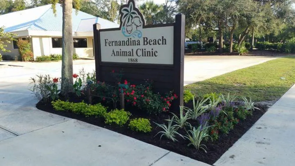 Trusted landscape installation in Fernandina Beach, FL - KraussCare Landscaping