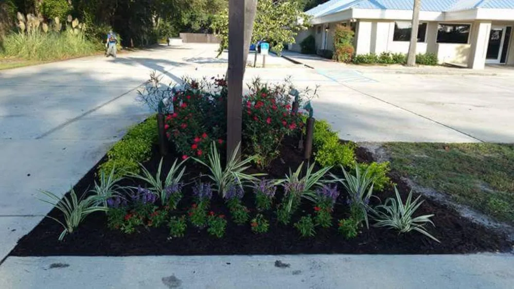 Professional landscape installation in Fernandina Beach, FL - KraussCare Landscaping