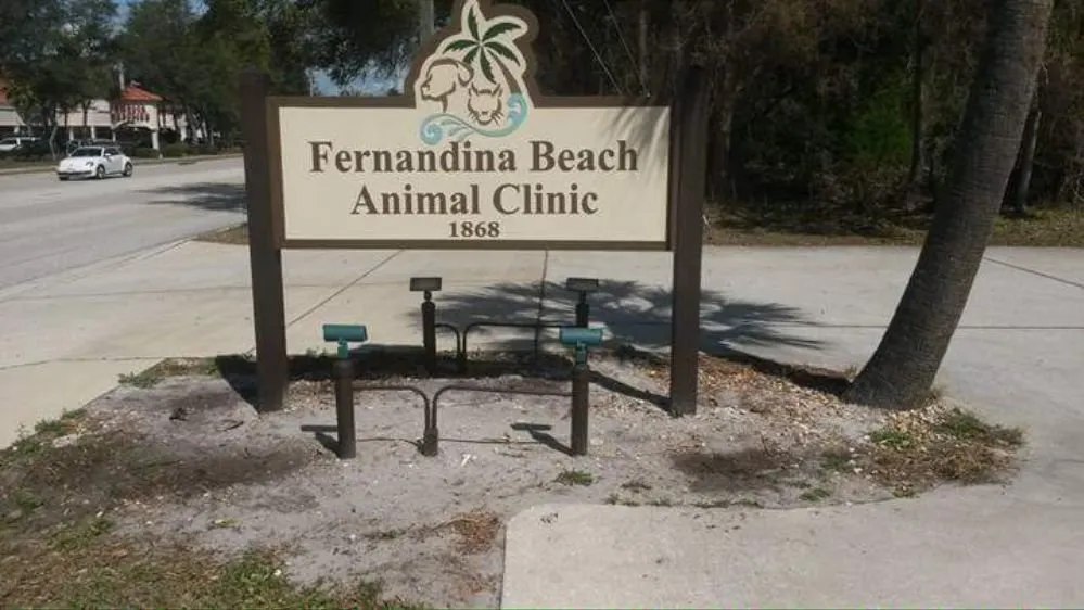 Trusted landscaping services experts serving Fernandina Beach, FL - KraussCare Landscaping